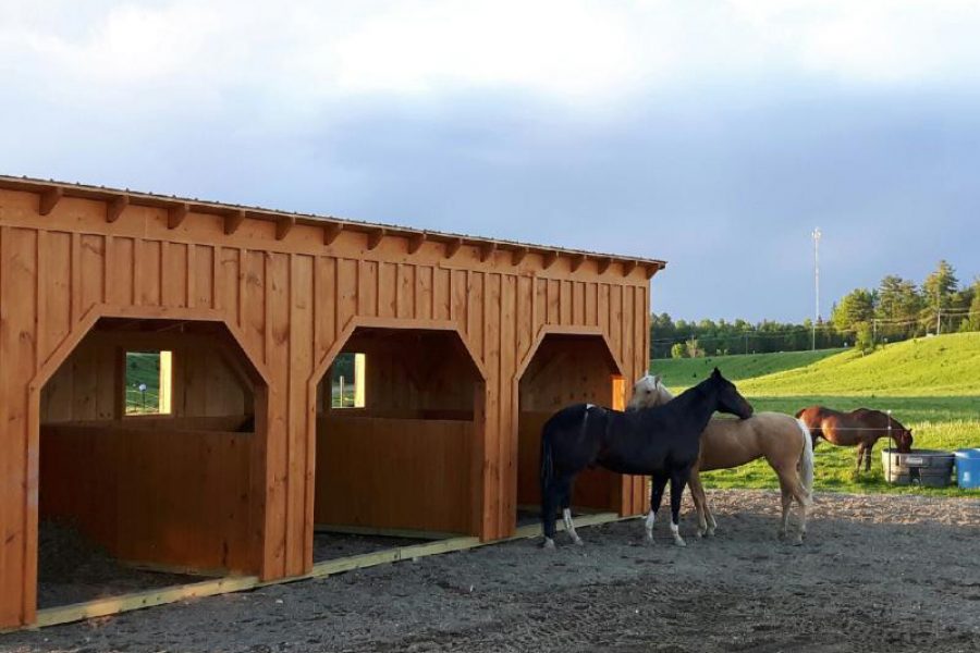 12×32 Run In Board and Batten Shelter