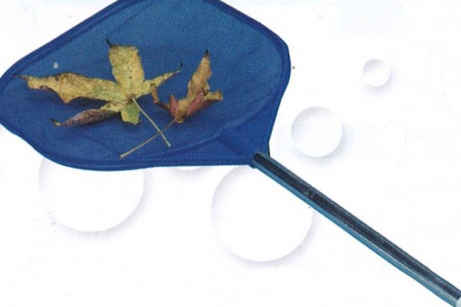 Hand Skimmer – $15.00